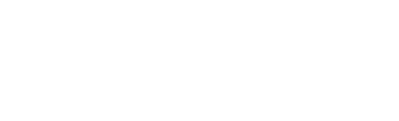 Oracle NetSuite Solution Provider Partner